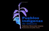 Pueblos indígenas de México - WordPress.com...serie Pueblos Indígenas del México Contemporáneo, por su autor, el doctor Federico Navarrete Linares. El impacto de esta primera