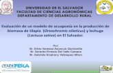 Lactuca sativa) en El Salvador. · embargo, el tratamiento de 50 peces/m3 presento la mayor longitud con 0.6 cm más que el tratamiento 2 y 0.9 cm más que el tratamiento 3. El tratamiento