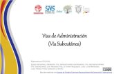 Vías de Administración (Vía Subcutánea) · 2019. 5. 21. · Guía de Práctica Clínica Cuidados Paliativos, MSP, 2008 Diazepam: (excipiente liposoluble) Antibióticos: No existe