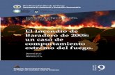 Plan Nacional de Manejo del Fuego Secretaría de Ambiente y Desarrollo … · 2018. 3. 15. · 8 - El Incendio de Baradero de 2008: un caso de comportamiento extremo del fuego. 1.