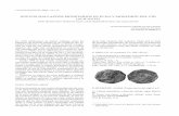 NUEVOS HALLAZGOS MONETARIOS EN ELDA Y MONFORTE DEL … · 2016. 8. 20. · En 1998 publicamos un primer catálogo sobre los hallazgos de moneda antigua en las comarcas del Vi-nalopó