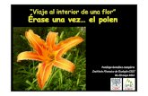 VIAJE AL INTERIOR DE UNA FLOR - Digital CSICdigital.csic.es/bitstream/10261/50258/1/Erase una vez el...“Viaje al interior de una flor” Érase una vez… el polen Penélope González-Sampériz