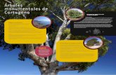 Árboles monumentales de Cartagena · 2015. 5. 27. · en Europa sólo en España y Malta. En la península Ibérica está restringida a la Región de Murcia y al cuadrante sureste