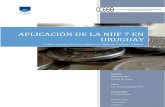 APLICACIÓN DE LA NIIF 7 EN URUGUAY...Conclusiones y elaboración de una guía práctica para la aplicación de la NIIF 7, teniendo como base el análisis efectuado. 1.2 Introducción