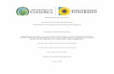 UNIVERSIDAD DE COSTA RICA SISTEMA DE ESTUDIOS ...repositorio.sibdi.ucr.ac.cr:8080/jspui/bitstream/...Las vasculitis asociadas con anticuerpos contra el citoplasma de los neutrófilos