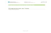 Programación de Tuba - Galiciacentros.edu.xunta.es/.../programacions/Vento_metal/Tuba.pdfmentos e ferramentas (tanto da aprendizaxe coma da ensinanza e da propia programación), a