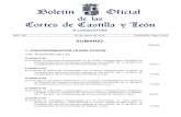 IX LEGISLAURA2004.ccyl.es/SIRDOC/PDF/PUBLOFI/BO/CCL/9L/BOCCL0900391A.pdf · 2018. 3. 22. · Andaluz (IU-EQUO), perteneciente al Grupo Parlamentario Mixto, al Proyecto de Ley por