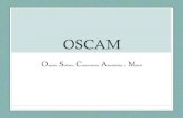 Oscam ORQUESTA SINFÓNICA & Link Up...Proyecto Educativo OSCAM (Orquesta Sinfónica del los Conservatorios Oficial de Almendralejo y “Esteban Sánchez” de Mérida) Premio “TOMAS