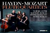 HAYDN MOZART FLUTE QUARTETSoriginal chamber music pieces for the flute. Presenting these and the prospect of transcribing two substantial Haydn quartets from the Op. 76 series to record
