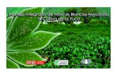 MANEJO INTEGRADO DE MOSCAS BLANCAS ASOCIADAS AL …ciat-library.ciat.cgiar.org/Articulos_Ciat/ipm/pdfs/... · 2017. 11. 22. · Las moscas blancas son plagas de especial importancia