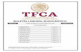 BOLETÍN LABORAL BUROCRÁTICOportales.segob.gob.mx/work/models/TFCA/Resource/81/2/... · 2020. 11. 6. · TOMO XLIX Ciudad de México a 29 de Octubre de 2020. NÚMERO 6504 ... con
