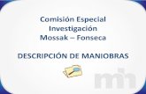Comisión Especial Investigación Mossak Fonseca … Especial Investigacion.pdfComisión Especial Investigación ... empresas, o para Sociedades con muchas delegaciones. Implica la