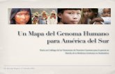 Un Mapa del Genoma Humano para América del Sur · 2020. 1. 20. · Dr. Hernán Dopazo. 17 Octubre 2012 Un Mapa del Genoma Humano ... variación genómica humana en América Latina,