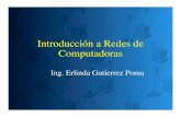 Introducción a Redes de Computadorasvirtual.usalesiana.edu.bo/web/conte/archivos/2730.pdf · 2013. 9. 2. · En condiciones ideales en tiempo de acceso tendría que ser en tiempo