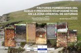 FACTORES FORMADORES DEL SUELO Y PROCESOS ...Su intervención conjunta, controla el desarrollo de los. procesos edafogenéticos,cuya acción se manifiesta en las. propiedades del suelo.