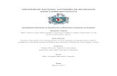 UNIVERSIDAD NACIONAL AUTONOMA DE NICARAGUA UNAN …repositorio.unan.edu.ni/4978/1/5917.pdf · 2017. 9. 13. · UNIVERSIDAD NACIONAL AUTONOMA DE NICARAGUA UNAN FAREM MATAGALPA Graduation