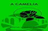 A CAMELIA - Concello de Vedra · 2018. 10. 18. · 5 A Camelia Material de consulta e lectura 7 ˜ A camelia e a natureza 9 1. Historia da camelia ata a chegada ao Concello de Vedra