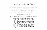 EVOLUCIÓN · 2020. 11. 6. · importancia de la Embriología Comparada como herramienta para dilucidar las relaciones filogenéticas. Afirman también, que la selección natural