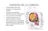 HUESOS DE LA CABEZA · 2014. 11. 11. · HUESOS DE LA CABEZA • Temporales: Son dos •-Están en la lateral del cráneo •-Tienen una saliente llamada proceso cigomático •-Una