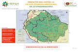 IMPACTO DEL COVID-19 EN LOS PUEBLOS INDÍGENAS DE LA ......Fuente: Asociación Interétnica de Desarrollo de la Selva Peruana (AIDESEP) SURINAM* Contagios conﬁrmados Fallecidos conﬁrmados