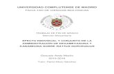 UNIVERSIDAD COMPLUTENSE DE MADRID martin.pdf · 2017. 10. 25. · En cuanto a su eliminación, los aminoglucósidos no son metabolizados, sino que se excretan sobre todo por vía