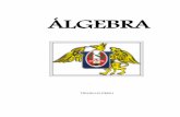 ÁLGEBRA - ELITE CLASS VIRTUAL · 2020. 12. 21. · INTRODUCCIÓN: Álgebra es el ... se centra en las relaciones, estructuras y cantidades. La disciplina que se conoce como álgebra