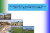 FORMACION EN LA AGROINDUSTRIA DE LA CAÑA DE AZUCAR … · 2015. 12. 23. · dirigidos a la agroindustria de la caña de azúcar de guatemala. contexto 17 ingenios conformacion de