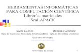 HERRAMIENTAS INFORMÁTICAS PARA COMPUTACIÓN …dis.um.es/~domingo/apuntes/HICC/0708/scalapack.pdf · 2008. 4. 1. · Rutinas. Comunicación Pto a pto Nomenclatura de las rutinas