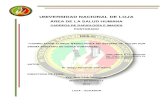 UNIVERSIDAD NACIONAL DE LOJA · 2017. 6. 1. · colon por enema de doble contraste, según el sexo y la edad y establecer la correlación clínico radiológica de los pacientes sometidos