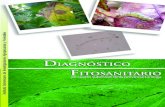 DIAGNÓSTICO FITOSANITARIO - SORA190.167.99.25/digital/idiaf.diagnostico.fitosanitario... · 2016. 8. 19. · Las enfermedades causadas por hongos constituyen una seria limitante