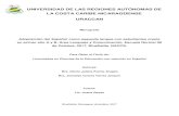 UNIVERSIDAD DE LAS REGIONES AUTÓNOMAS DE LA COSTA …repositorio.uraccan.edu.ni/1175/1/Adquisición del... · Analizar los factores metodológicos que inciden en la adquisición