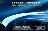 Conveni Europeu de Drets HumansProtocols núm. 4, 6, 7, 12, 13 i 16 3 El text del Conveni es presenta una vegada modificat de conformitat amb les disposicions del Protocol n 14 (STE