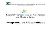 Expectativas Generales de Aprendizaje MATEMATICASeducon.uprm.edu/formularios/de/matematica.pdf · 2019. 12. 18. · desarrollar las primeras nociones sobre el valor posicional y el
