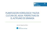 PLANIFICACION HIDROLOGICA Y NUEVA CULTURA DEL ......2020/06/02  · En el contexto de la Demarcación del Guadalquivir se ubica en la zona de las Depresiones Béticas, dentro de la