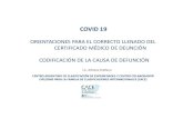 Ppt DEFINITIVO Certif Def y CodificaciÃ³n Causas Muerte ARO...Microsoft PowerPoint - Ppt DEFINITIVO Certif Def y CodificaciÃ³n Causas Muerte ARO Author PAHO Created Date 6/26/2020