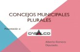 CONCEJOS MUNICIPALES PLURALES - Casalco Municipales... · 2019. 2. 20. · concejos municipales 2009 •todos los partidos polÍticos en nombre de organizaciones de la sociedad, proponen
