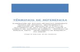 TÉRMINOS DE REFERENCIA - CD Moquegua · 2020. 11. 27. · tÉrminos de referencia elaboraciÓn del estudio definitivo expediente tecnico del proyecto: “mejoramiento y ampliaciÓn