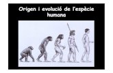 Origen i evolució de l’espècie humana...J.L. Arsuaga i I. Martínez (2 004): Atapuerca i l’evolució humana. Fundació Caixa de Catalumya. Barcelona Lucy Australopithecus afarensis