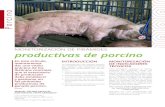 MONITORIZACIÓN DE PIRÁMIDES productivas de porcino · 2021. 3. 11. · productivas de ganado porcino. INTRODUCCIÓN Lo haremos de una manera resumi-da, incidiendo en los aspectos