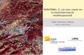 Aitor Guerrero Soliva - UAB Barcelonageografia.uab.cat/geoinformacio/wp-content/projectes/... · 2016. 12. 1. · • Adequació de les imatges S2 per a la discriminació de la severitat