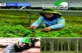 Directorio Forestal Maderero de Colombia - Marzo 2021 · 2021. 4. 16. · Mery Barreto Núñez Ingeniera Forestal, Programa Fitosanitario Forestal ... publicación semestral, cuyo