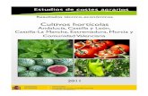 Cultivos hortícolas · 2020. 8. 6. · El presente informe recoge la evolución de los resul-tados económicos y costes de producción de 22 culti-vos hortícolas en 6 CCAA (Andalucía,