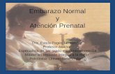 Embarazo Normal y Atención Prenatal - sld.cu...-Signos de certeza: a)Diagnostico de embarazo por ultrasonografía a partir de las 5 semanas de gestación. b)Movimientos fetales activos,