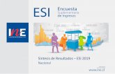 Síntesis de Resultados ESI 2019 · 2020. 10. 26. · Presentación síntesis de resultados • La Encuesta Suplementaria de Ingresos (ESI), realizada por el Instituto Nacional de