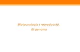 Biotecnologia i reproducció. El genoma · plantes, aliments i vins Microorganismes per energia i el mediambient •Per eliminar residus tòxics •Per capturar l'excés de diòxid