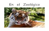 En el Zoologico - Mustard Seed Booksmustardseedbooks.org/wordpress/books/Spanish/En el...En el Zoológico Me gusta mirar las cebras. 1 Me gusta mirar el oso. 2 Me gusta mirar el tigre.