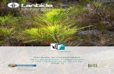 Certificado de Profesionalidad REPOBLACIONES ......CERTIFICADO DE PROFESIONALIDAD - UC1125_2: Realizar operaciones de repoblación forestal y de corrección hidrológico-forestal -