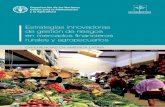 Estrategias innovadoras de gestión de riesgos en mercados financieros rurales … · 2021. 2. 8. · Análisis de experiencias innovadoras en el diseño de mecanismos de financiamiento