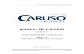 MANUAL DE USUARIO - Caruso Seguros · 2016. 4. 28. · SISTEMA: RENDICIONES DE COBRANZA VIRTUAL MANUAL DE USUARIO SISTEMA: RENDICIONES DE COBRANZAS VIRTUAL Cobrador/Cobrador con Imputación