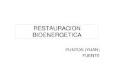 RESTAURACION BIOENERGETICArestauracionbioenergetica.es/images/PDF/luo_yuan.pdf · 2017. 3. 30. · PUNTOS (YUAN) FUENTE. PUNTOS FUENTE ORGANOS • 9P • 7MC • 7C • 3R • 3BP